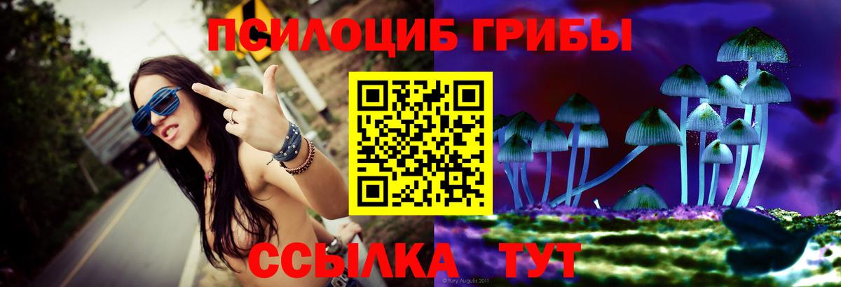 Псилоцибиновые грибы MAGIC MUSHROOMS  Галлюциногенные грибы мицелий  Лесосибирск  Вход с VPN 
